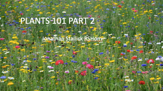 PLANTS 101 PART 2